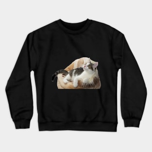 Cushion Kitty Crewneck Sweatshirt